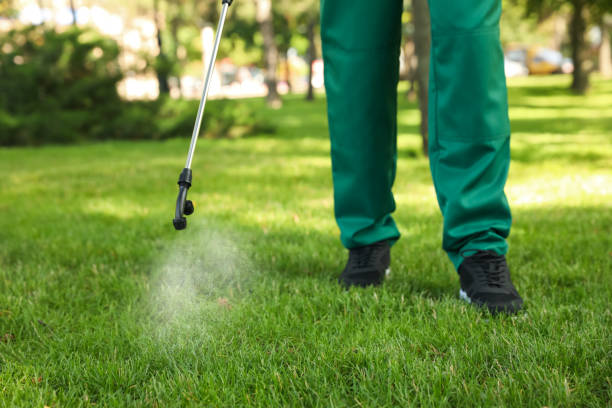 Trusted Grand Ledge, MI Pest Control Experts
