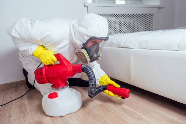 Best Termite Control Services  in Grand Ledge, MI