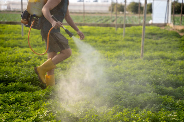 Best Pest Removal Services  in Grand Ledge, MI