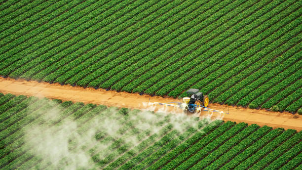 Best Commercial Pest Control Services  in Grand Ledge, MI