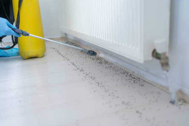 Best Pest Prevention Services  in Grand Ledge, MI